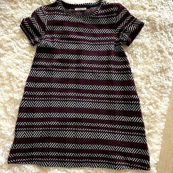 Zara Trafaluc Fall Winter Collection Dress - Picture 2 of 5